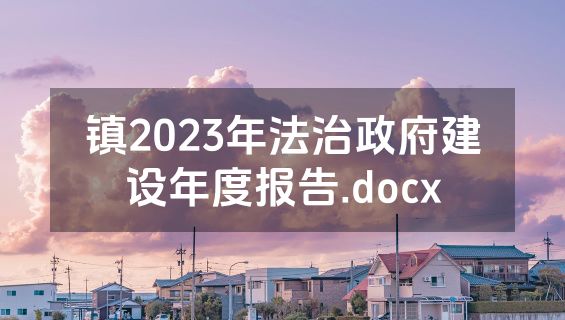镇2023年法治政府建设年度报告.docx
