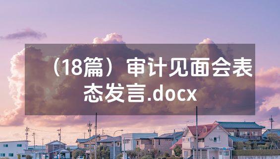 （18篇）审计见面会表态发言.docx