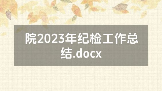 院2023年纪检工作总结.docx