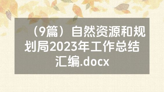 （9篇）自然资源和规划局2023年工作总结汇编.docx