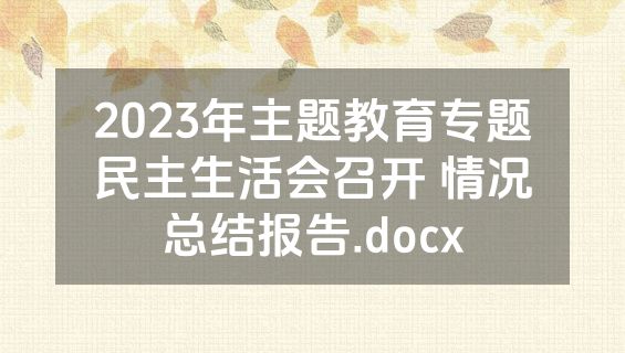 2023年主题教育专题民主生活会召开 情况总结报告.docx