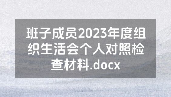 班子成员2023年度组织生活会个人对照检查材料.docx
