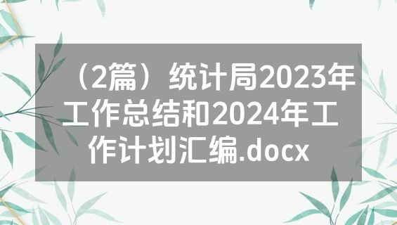 （2篇）统计局2023年工作总结和2024年工作计划汇编.docx