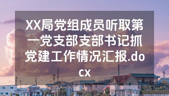 XX局党组成员听取第一党支部支部书记抓党建工作情况汇报.docx
