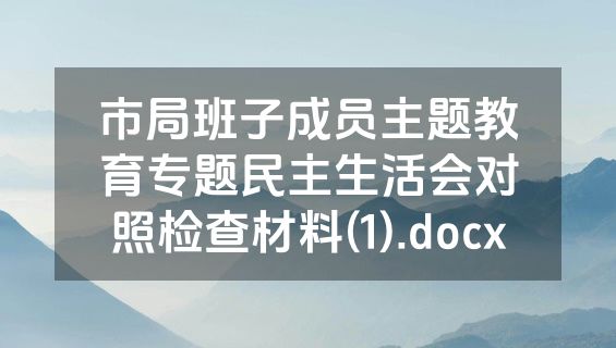市局班子成员主题教育专题民主生活会对照检查材料(1).docx