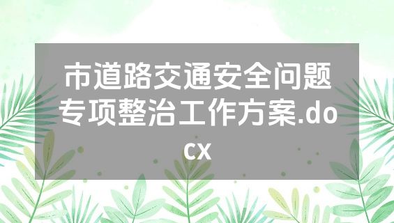 市道路交通安全问题专项整治工作方案.docx