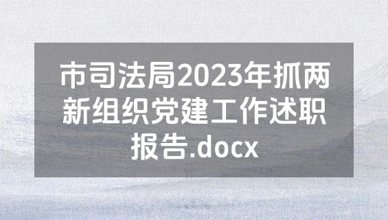 市司法局2023年抓两新组织党建工作述职报告.docx