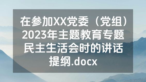 在参加XX党委（党组）2023年主题教育专题民主生活会时的讲话提纲.docx