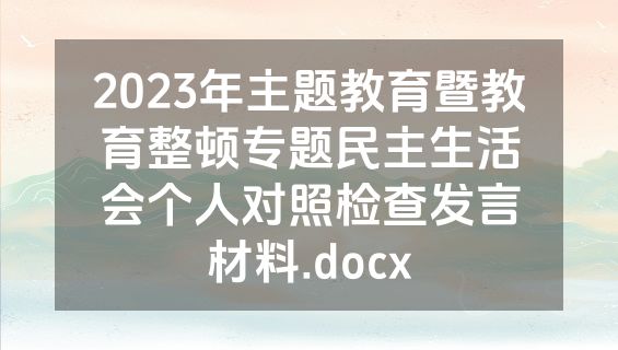 2023年主题教育暨教育整顿专题民主生活会个人对照检查发言材料.docx