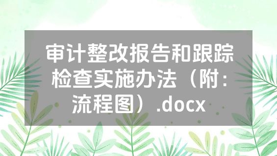 审计整改报告和跟踪检查实施办法（附：流程图）.docx