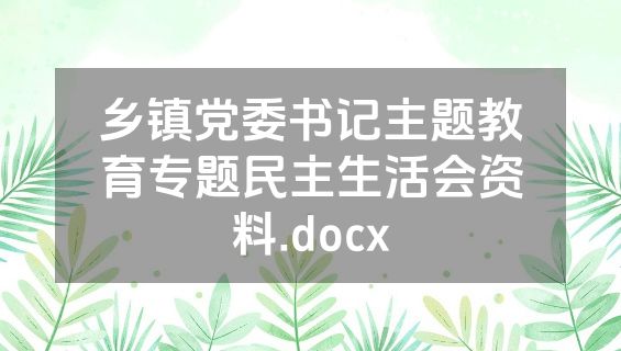 乡镇党委书记主题教育专题民主生活会资料.docx
