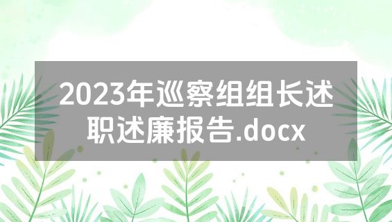 2023年巡察组组长述职述廉报告.docx
