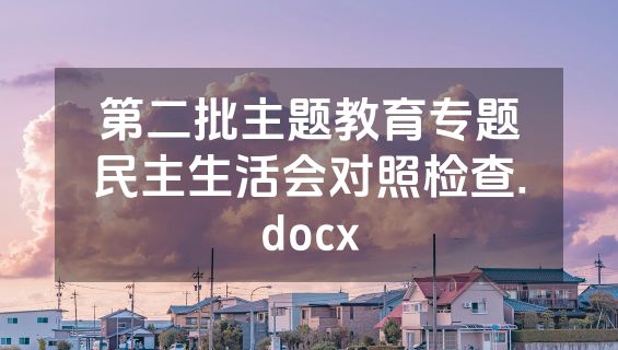 第二批主题教育专题民主生活会对照检查.docx