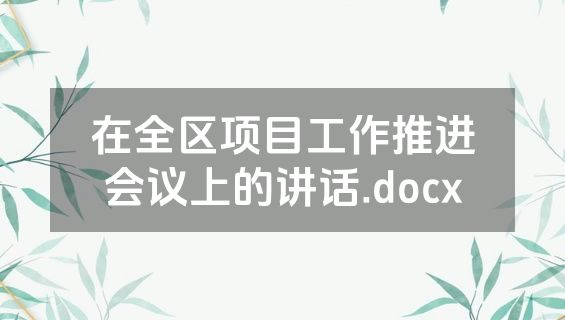 在全区项目工作推进会议上的讲话.docx
