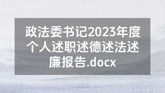 政法委书记2023年度个人述职述德述法述廉报告.docx