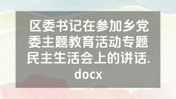 区委书记在参加乡党委主题教育活动专题民主生活会上的讲话.docx