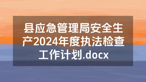 县应急管理局安全生产2024年度执法检查工作计划.docx