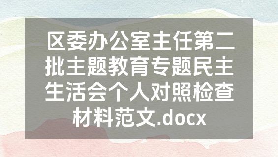 区委办公室主任第二批主题教育专题民主生活会个人对照检查材料范文.docx