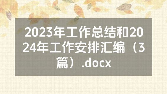 2023年工作总结和2024年工作安排汇编（3篇）.docx
