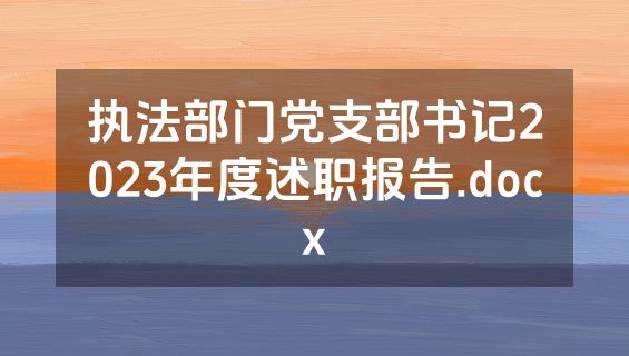 执法部门党支部书记2023年度述职报告.docx
