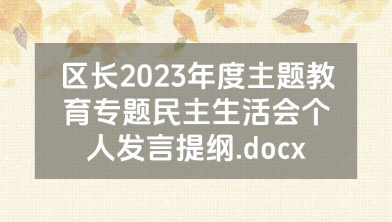 区长2023年度主题教育专题民主生活会个人发言提纲.docx