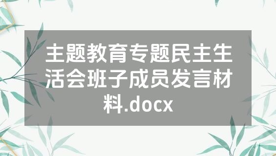 主题教育专题民主生活会班子成员发言材料.docx