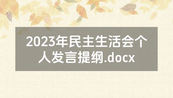 2023年民主生活会个人发言提纲.docx