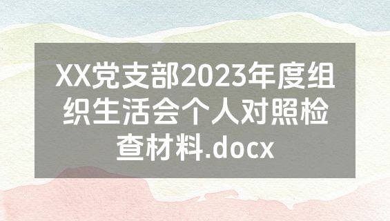 XX党支部2023年度组织生活会个人对照检查材料.docx