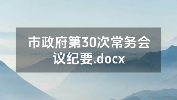 市政府第30次常务会议纪要.docx