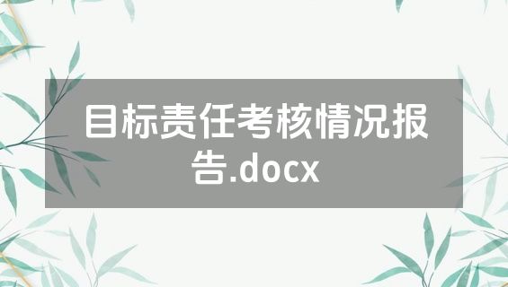 目标责任考核情况报告.docx