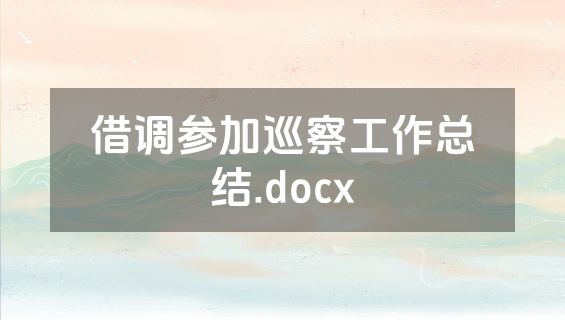 借调参加巡察工作总结.docx