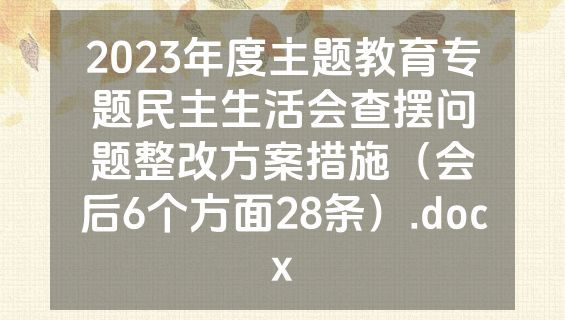 2023年度主题教育专题民主生活会查摆问题整改方案措施（会后6个方面28条）.docx