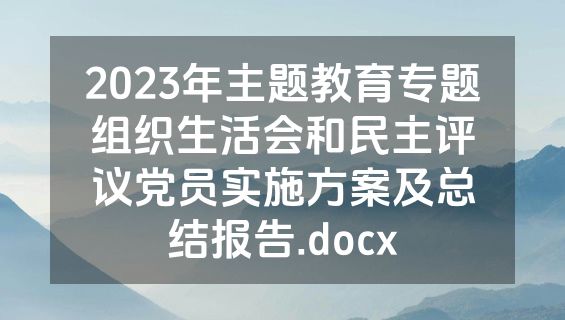 2023年主题教育专题组织生活会和民主评议党员实施方案及总结报告.docx