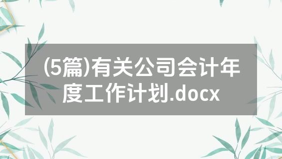 (5篇)有关公司会计年度工作计划.docx