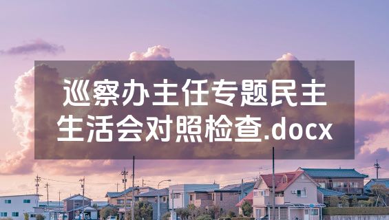 巡察办主任专题民主生活会对照检查.docx