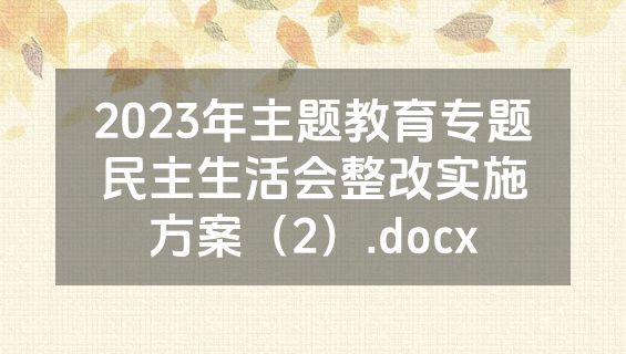 2023年主题教育专题民主生活会整改实施方案（2）.docx