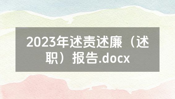 2023年述责述廉（述职）报告.docx