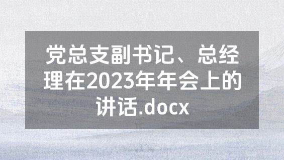 党总支副书记、总经理在2023年年会上的讲话.docx