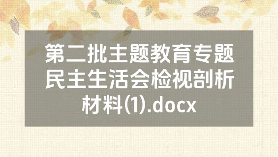 第二批主题教育专题民主生活会检视剖析材料(1).docx