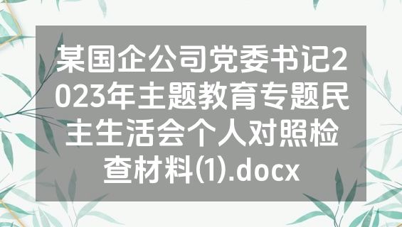 某国企公司党委书记2023年主题教育专题民主生活会个人对照检查材料(1).docx