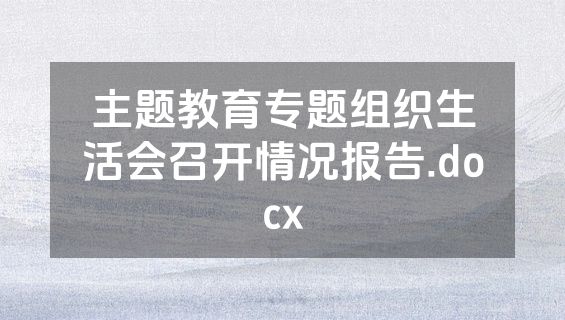 主题教育专题组织生活会召开情况报告.docx