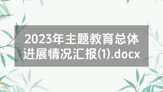 2023年主题教育总体进展情况汇报(1).docx