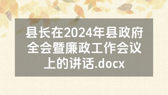 县长在2024年县政府全会暨廉政工作会议上的讲话.docx