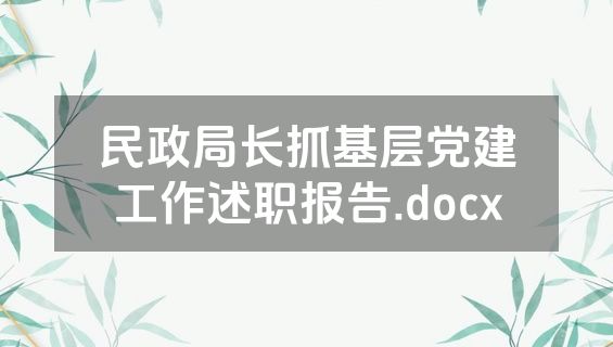 民政局长抓基层党建工作述职报告.docx