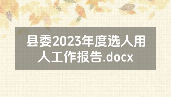 县委2023年度选人用人工作报告.docx