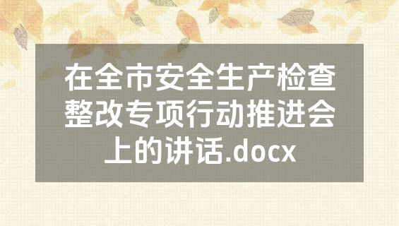 在全市安全生产检查整改专项行动推进会上的讲话.docx