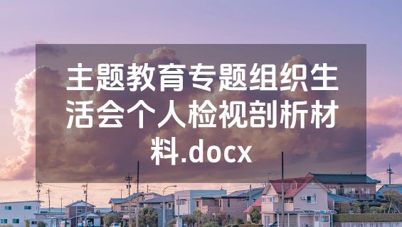 主题教育专题组织生活会个人检视剖析材料.docx