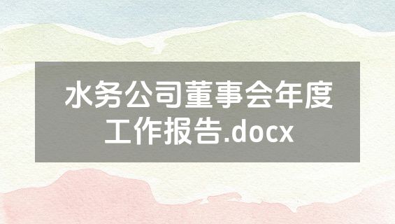水务公司董事会年度工作报告.docx
