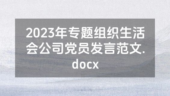 2023年专题组织生活会公司党员发言范文.docx
