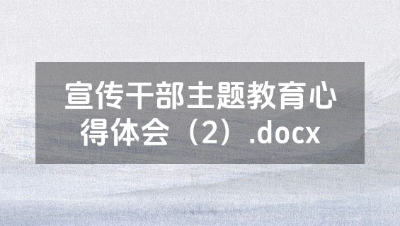 宣传干部主题教育心得体会（2）.docx